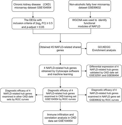 Identification of biomarkers for the diagnosis of chronic kidney disease (CKD) with non-alcoholic fatty liver disease (NAFLD) by bioinformatics analysis and machine learning